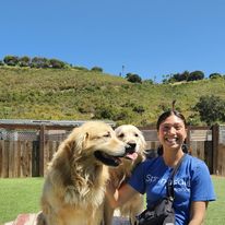 dog-friendly places to go in Arroyo Grande